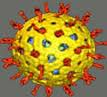 Rota-ιός: λοίμωξη, εμβόλια